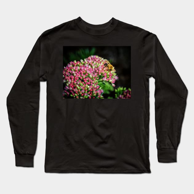 Bee On Sedum Flower Long Sleeve T-Shirt by Robert Alsop